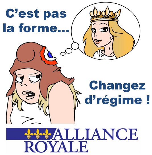 53409b4c1a7bc-alliance-royale-elections-municipales-2014-resultats-6-avril-2014